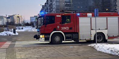 Wypadek w Lesie Kabackim. Drzewo spadło na leśniczego