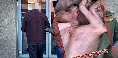 Katował psa na balkonie! Bezbronne zwierzę ratowali społecznicy