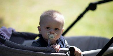 Wózki Adamex – czym wyróżniają się popularne modele dla rodziców?