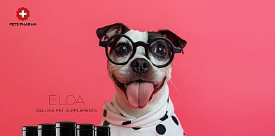 Suplementy dla psa seniora - co zmienia się z wiekiem i jak dostosować suplementac