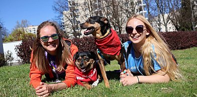 Weekend na Ursynowie pod znakiem czworonogów!