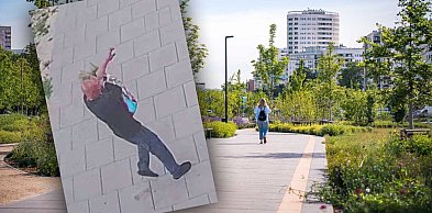 Nowy park okradziony z roślin. "Wcześniej czy później odwiedzi Cię policja"