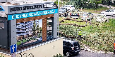 Deweloper wyciął drzewo, bo zasłaniało widok? Oburzenie po wycince na Ursynowie