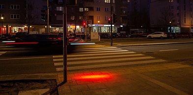 Zielone światło dla smartfonowych zombie? ZDM studzi entuzjazm radnej-36717