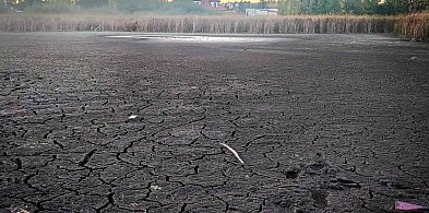 Przetrwało 200 tys. lat, nie przetrwa deweloperów? Czy jest ratunek dla jeziorka-37338