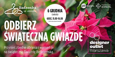 Odbierz Gwiazdę Betlejemską w Designer Outlet Warszawa-38292