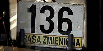 Horror z linią 136. Trzy godziny czekania na autobus! "To linia widmo"-39001