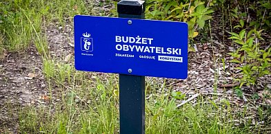Tego chce Ursynów? Ponad setka pomysłów w Budżecie Obywatelskim-39133
