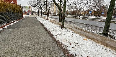 Pierwszy taki chodnik na Ursynowie. Ma chronić drzewa