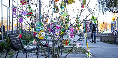 Ale kolorowo pod ratuszem! Na krzewach wyrosły zajączki i wielkanocne jaja