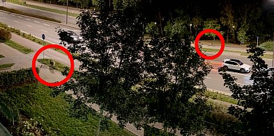 Chwile grozy na Kabatach! Potrącony dzik biegał po ulicy i chodnikach w al. KEN-36750