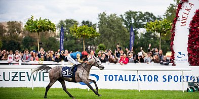 Sensacja na Służewcu! Brytyjczyk wygrał Wielką Warszawską. Zgłoszony last minute-36997