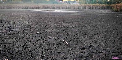 Przetrwało 200 tys. lat, nie przetrwa deweloperów? Czy jest ratunek dla jeziorka-37338