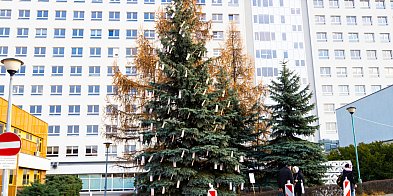 Drzewo Życzeń na Ursynowie. Wzruszająca choinka przed Instytutem Onkologii-38475