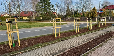 Droga do Lasu Kabackiego zmieni się nie do poznania!-38418