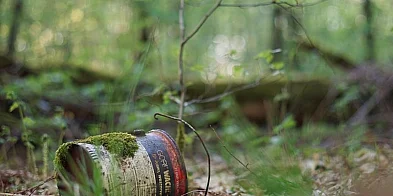 Już 25 kwietnia Rodzinna Akcja sprzątania Lasu Kabackiego