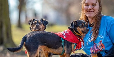 Adoptuj Warszawiaka wraca na Ursynów! Niezwykły duet z Palucha
