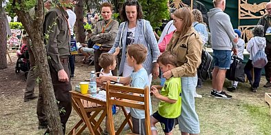 Drewniany piknik na Ursynowie. Impreza dla całej rodziny