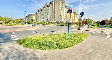 Nowe rondo na Ursynowie. Mieszkańcy zmienili zdanie?-36911