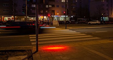 Zielone światło dla smartfonowych zombie? ZDM studzi entuzjazm radnej-36717