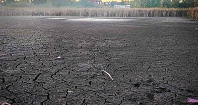 Przetrwało 200 tys. lat, nie przetrwa deweloperów? Czy jest ratunek dla jeziorka-37338