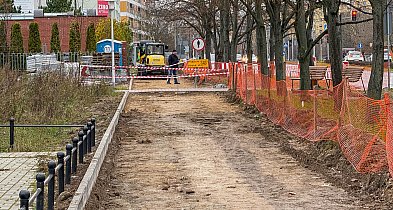 Chodnik przy Gandhi rozgrzebany od miesiąca. ZDM: problem z drzewami-37889