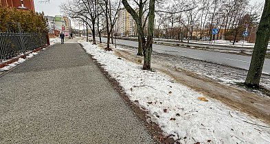 Pierwszy taki chodnik na Ursynowie. Ma chronić drzewa