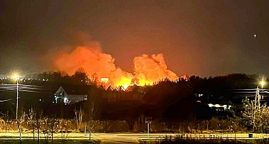 Pożar nad Jeziorem Zgorzała. Ogień był widoczny z innych dzielnic