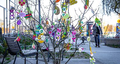 Ale kolorowo pod ratuszem! Na krzewach wyrosły zajączki i wielkanocne jaja