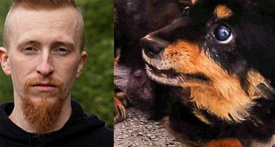 "Wielka płyta sprzyja przemocy". Fundacja Viva o ciemnej stronie blokowisk