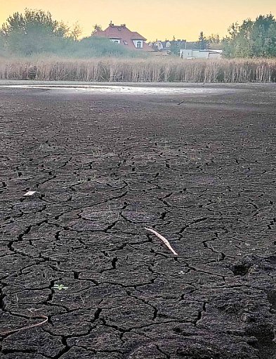 Przetrwało 200 tys. lat, nie przetrwa deweloperów? Czy jest ratunek dla jeziorka-37338