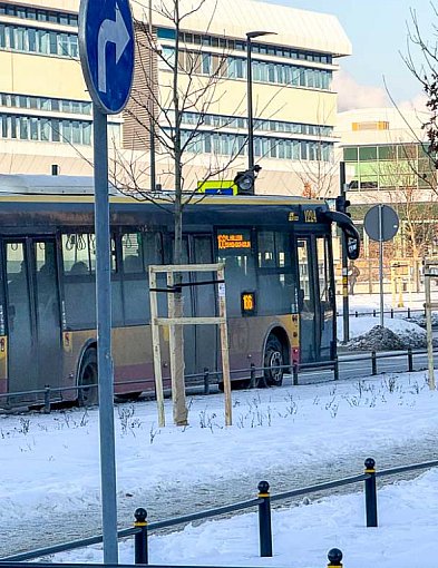 Mieszkańcy chcieli nowego przystanku, dostali parking. "Jak to, nie będzie?"