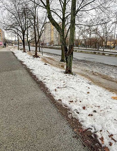 Pierwszy taki chodnik na Ursynowie. Ma chronić drzewa