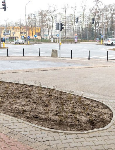 Ursynowska „łezka” w Czarnej Księdze Wydatków Publicznych 2026