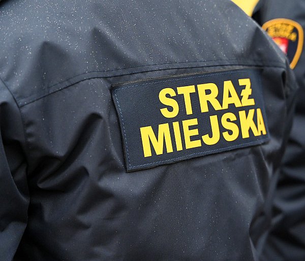 Zapuka strażnik, zapłacisz karę. Ruszyły kontrole w całej Polsce-37261