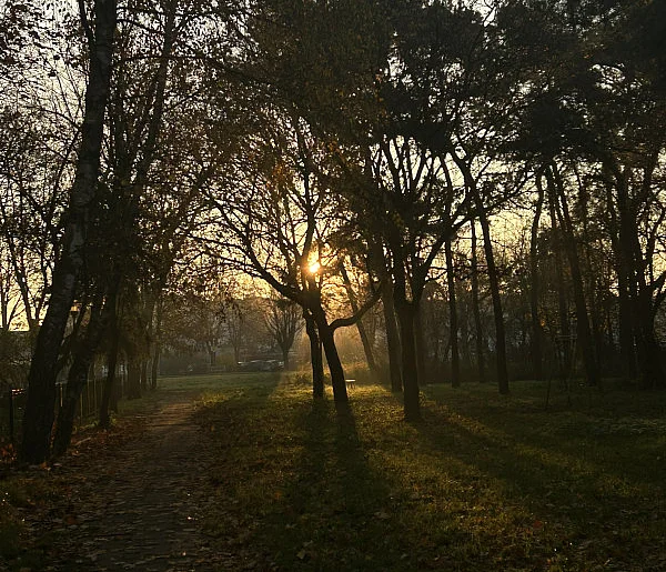 Nadchodzi najkrótszy dzień w 2025 roku. Sprawdź, kiedy przypadnie-38666