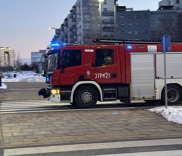 Wypadek w Lesie Kabackim. Drzewo spadło na leśniczego