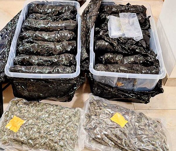 Narkotykowy magazyn pod nosem sąsiadów! 18 kg marihuany w piwnicy