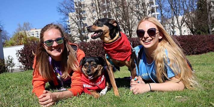Weekend na Ursynowie pod znakiem czworonogów! LISTA IMPREZ