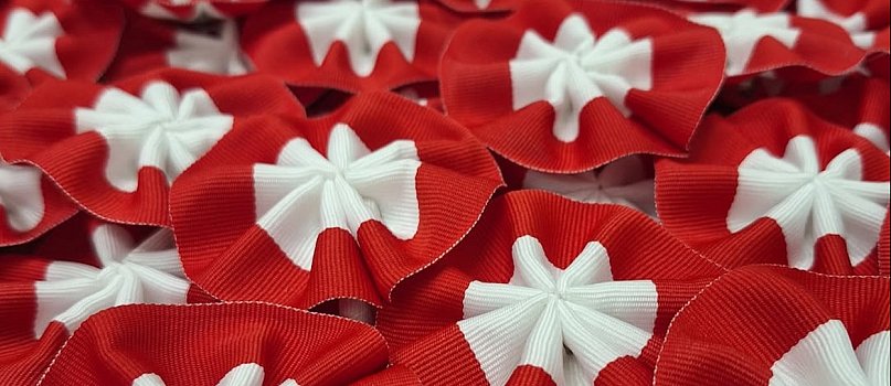 Kotyliony w Urzędzie Dzielnicy Ursynów-15720