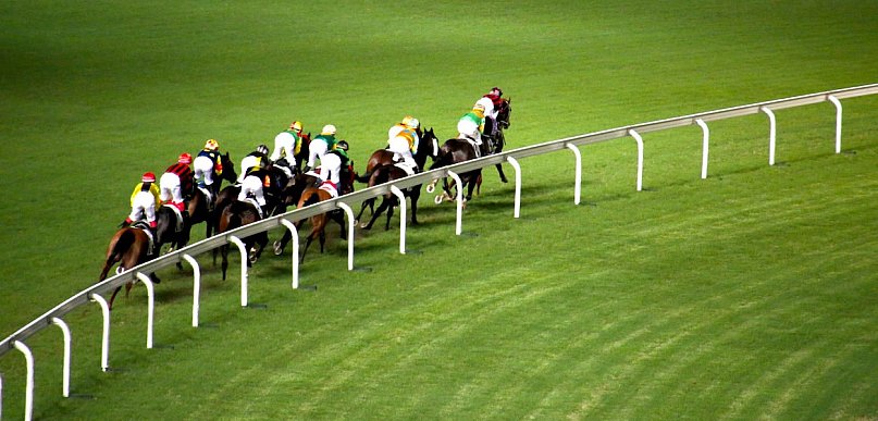 Koń uśpiony na Wyścigach. Jest śledztwo prokuratury