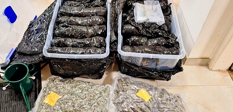 Narkotykowy magazyn pod nosem sąsiadów! 18 kg marihuany w piwnicy