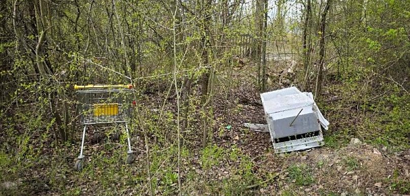 Zielony Ursynów tonie w śmieciach! Nagrali jednego ze sprawców
