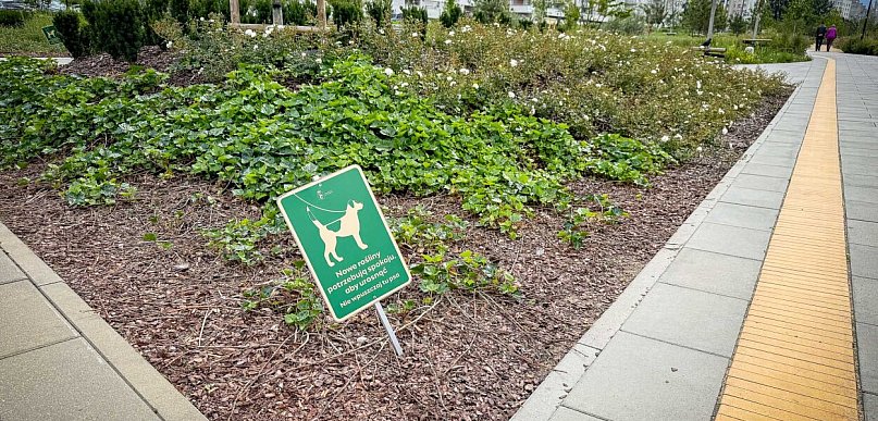 Psy niszczą nowy park na Ursynowie. "Dzieci nie mogą się bawić"