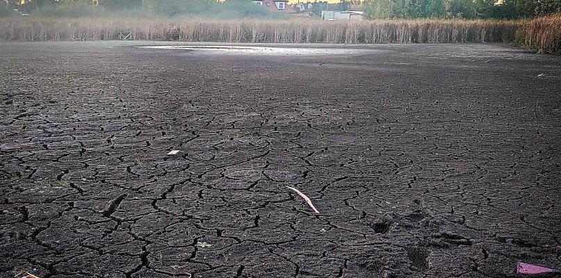 Przetrwało 200 tys. lat, nie przetrwa deweloperów? Czy jest ratunek dla jeziorka - 37338