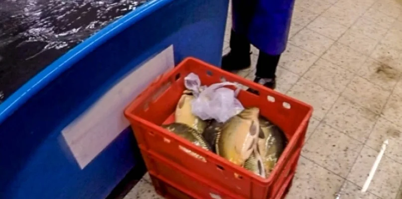 Słynna sprawa "karpiowa". O tym jak adwokatka pokonała ursynowski market! - 25750