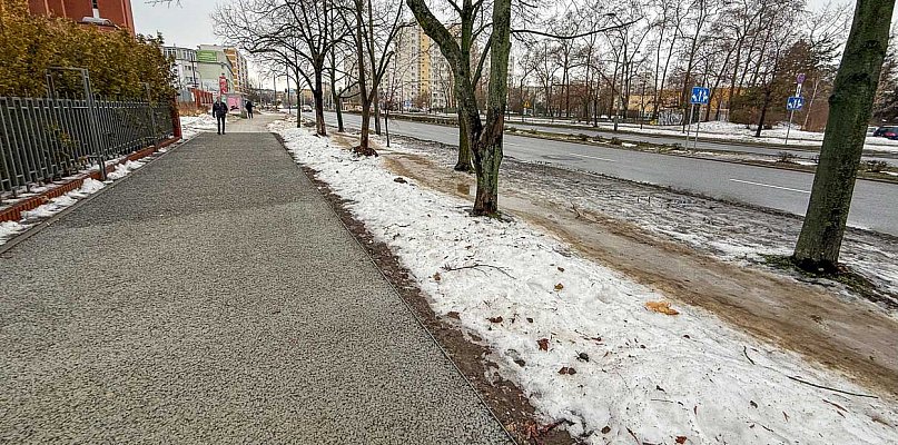 Pierwszy taki chodnik na Ursynowie. Ma chronić drzewa