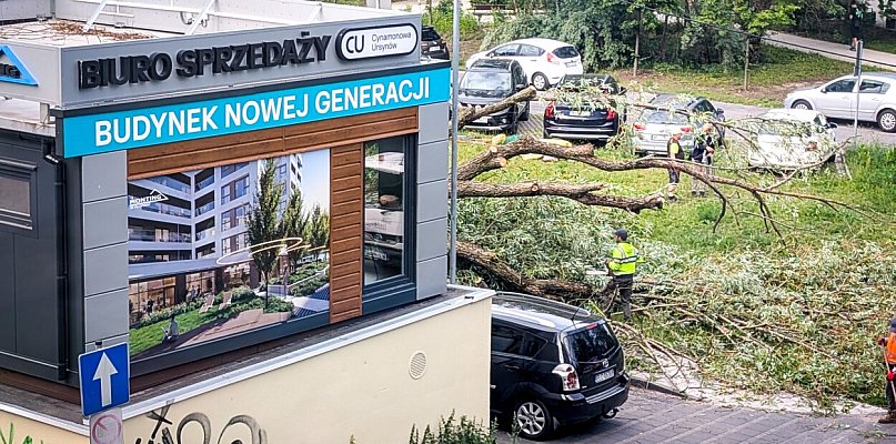 Deweloper wyciął drzewo, bo zasłaniało widok? Oburzenie po wycince na Ursynowie