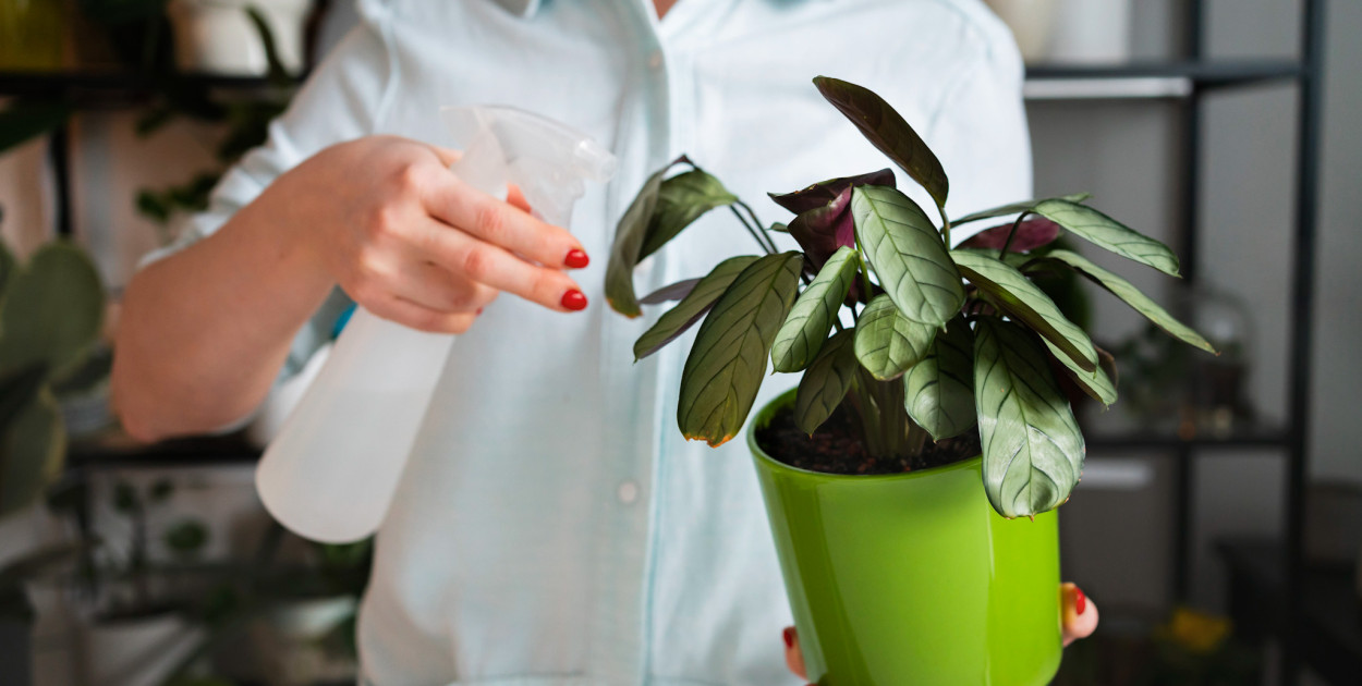 Zdjęcie ilustracyjne/Freepik/licencja Haloursynow.pl