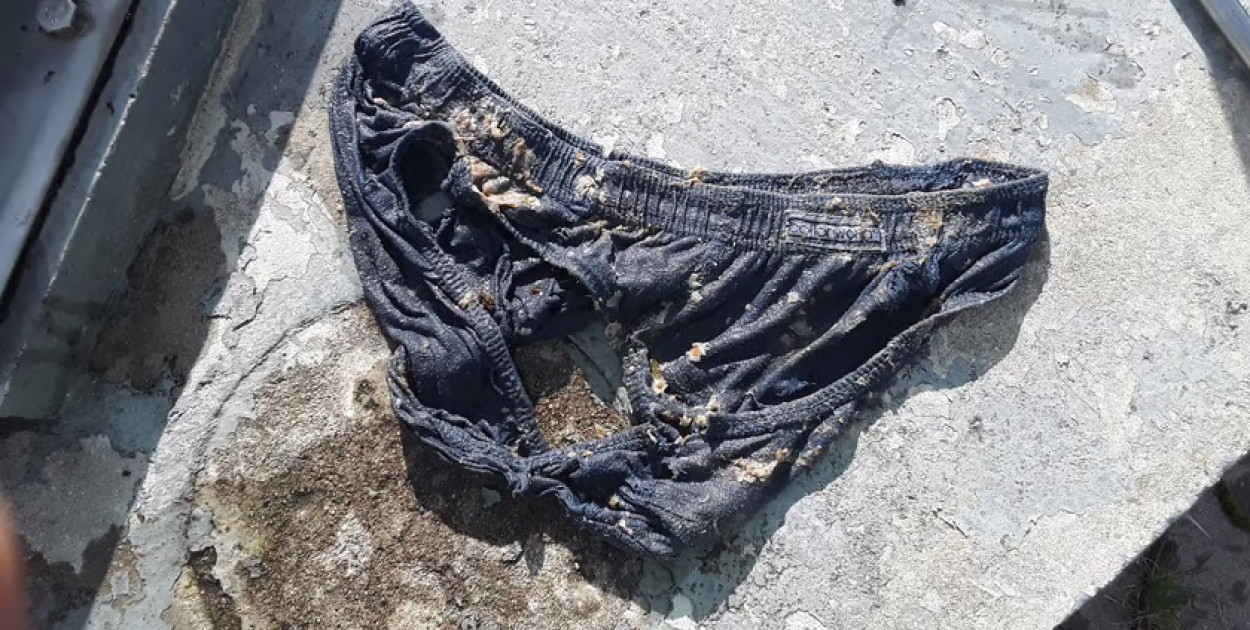 Majtki w kanalizacji? To dość powszechne… (fot. Ilustracyjne MPWiK Wrocław)